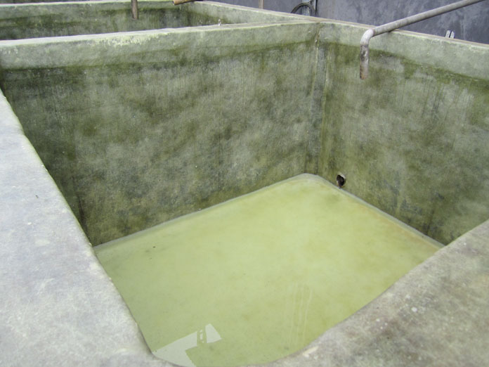 FRP lining to spent wash tank (1).JPG